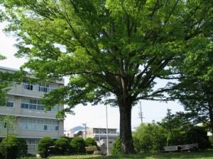 第4回50周年記念事業準備委員会の開催