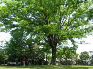 創立50周年プレ・イベントご参加下さい