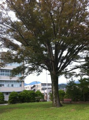 創立50周年記念事業実行委員会が設立されました