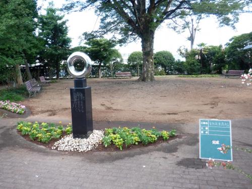 欅広場花壇の花の植替えを行いました